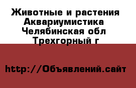 Животные и растения Аквариумистика. Челябинская обл.,Трехгорный г.